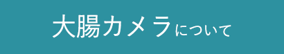 大腸カメラについて