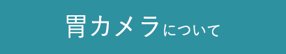 胃カメラについて